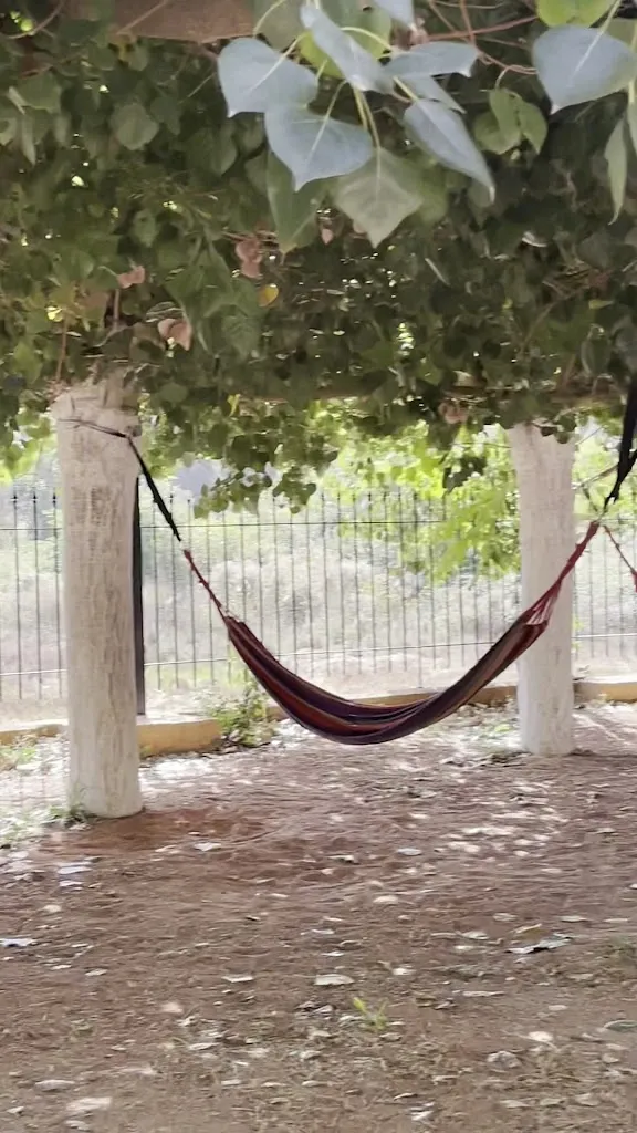 Mesón Maese Pedro_Ossa de Montiel_slider_image_2