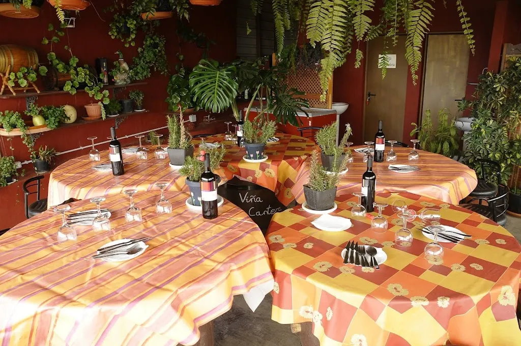 Guachinche Viña Cantera_Valsequillo_slider_image_1