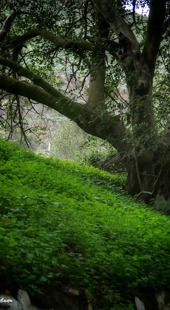 Luis Santana_Restaurante Grill El Puente_Valsequillo_review