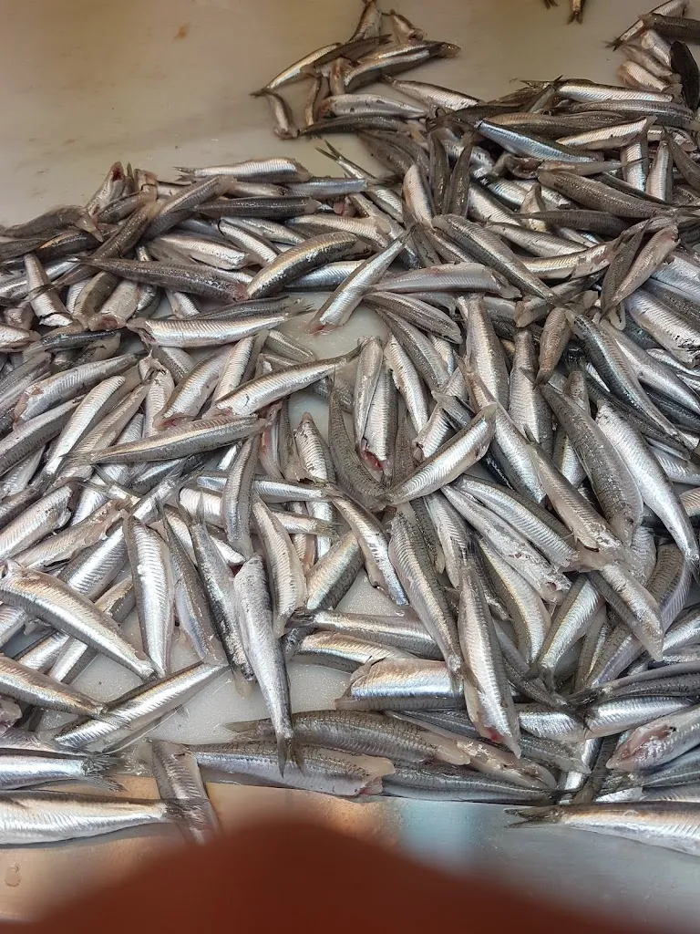 Menu_Mesón el Cazador_Priego de Córdoba_image_8