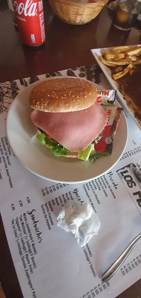 Menu_Mesón los Molinos_Villa del Río_image_5