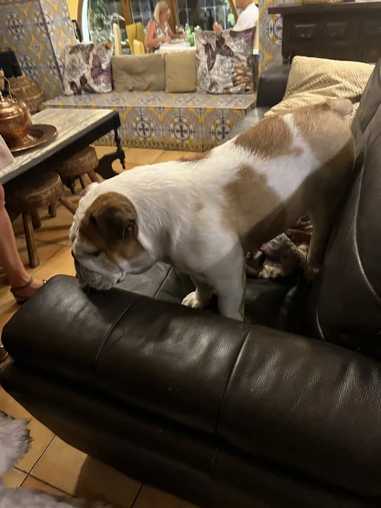 Max Verstappen_Hotel rural Albamanjón - Parque Natural de las Lagunas de Ruidera_Ossa de Montiel_review