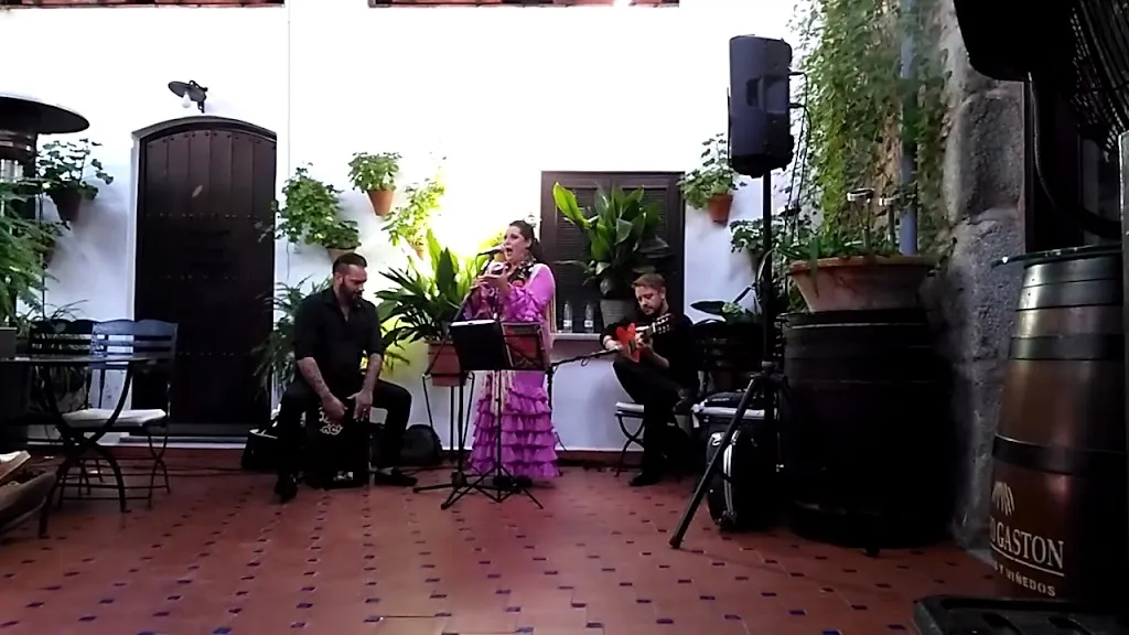 Restaurante la Puerta Falsa De Lucman_Villanueva de Córdoba_slider_image_2