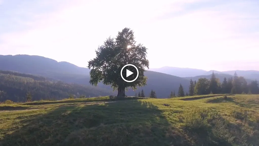 Mezquita_Puente Genil_slider_image_2