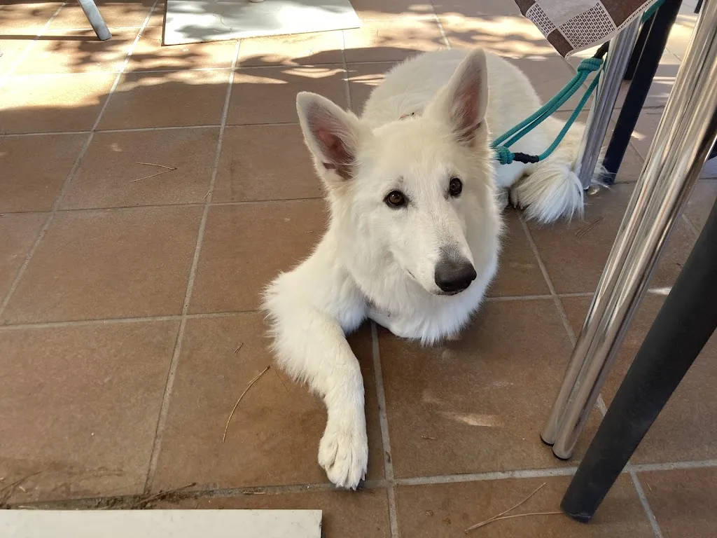 Tatiana_Restaurante Agua-Riscas_Arguisuelas_review