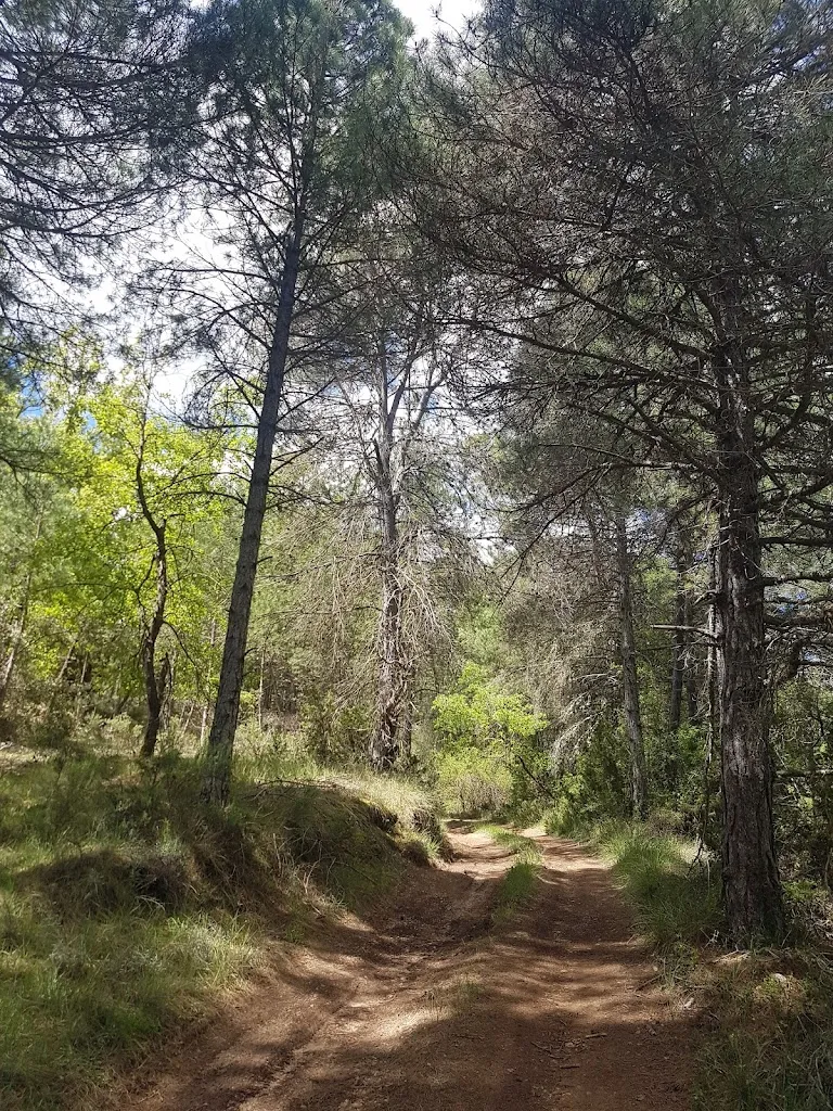 Juan Carlos Casillas_Restaurante La Casita de Cabrejas_Abia de la Obispalía_recensione