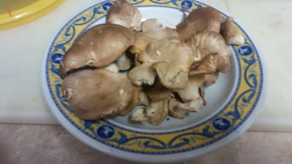 Menu_Mesón La Villa_Abia de la Obispalía_image_4