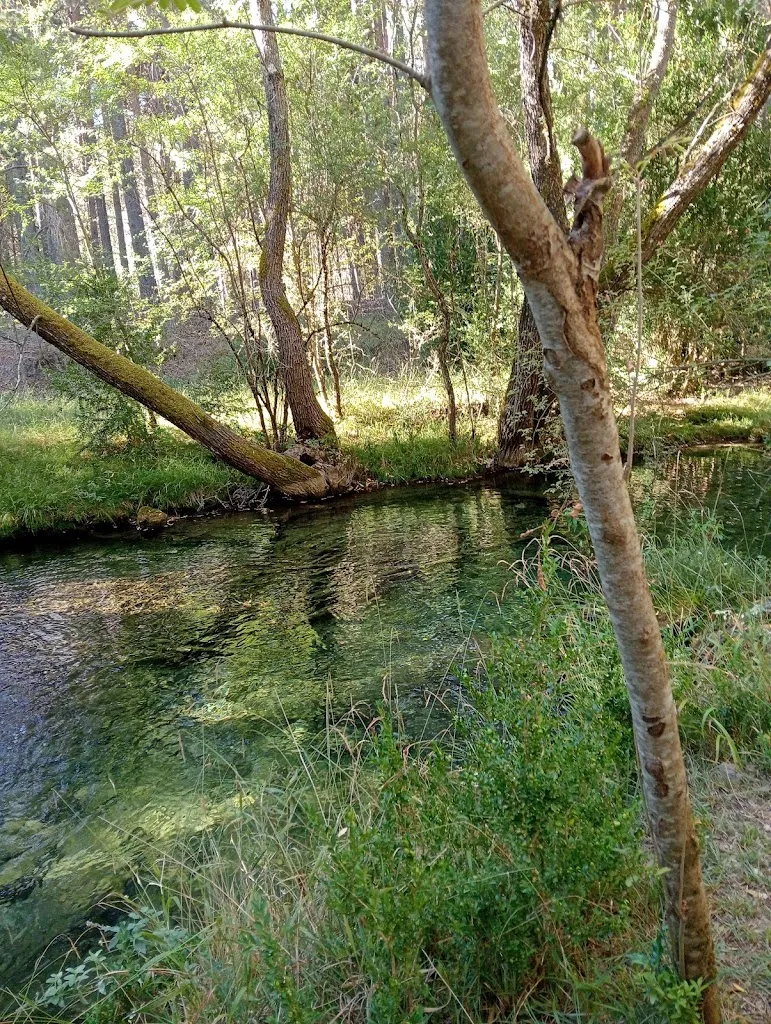 MOLT BON DIA CATALUNYA_Bar Alex - Cocina asiática_Abia de la Obispalía_review