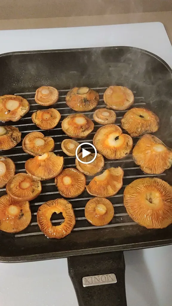 BAR LOS CANOS (DESDE 1988)_Cañaveras_slider_image_2