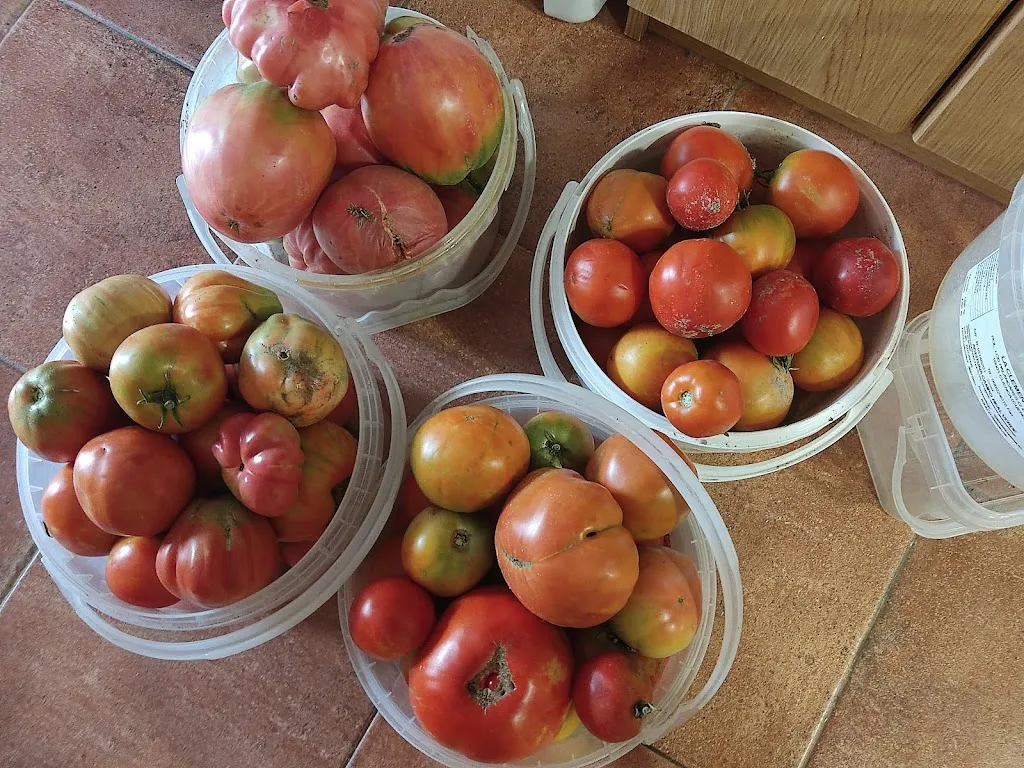 BAR LOS CANOS (DESDE 1988)_Cañaveras_slider_image_3