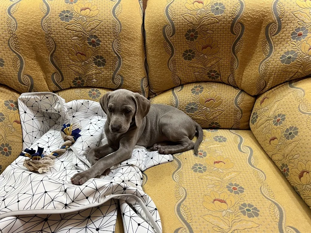 P. Schegin_Bodega La Venta | Casas de los Pinos_Casas de los Pinos_review