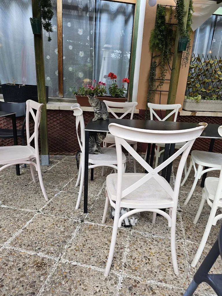 Maxi Gala_Restaurante El Balcón de la Serranía_Castillejo-Sierra_review