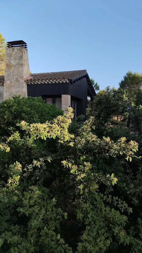 Francisco Arreciado cruz_Houses The Cerrete de Haro_Fuentelespino de Haro_recensione