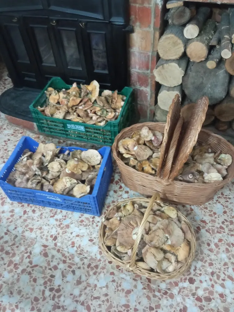 Menu_PASTELERÍA HELADERÍA BAR Molta Vita._Landete_image_3