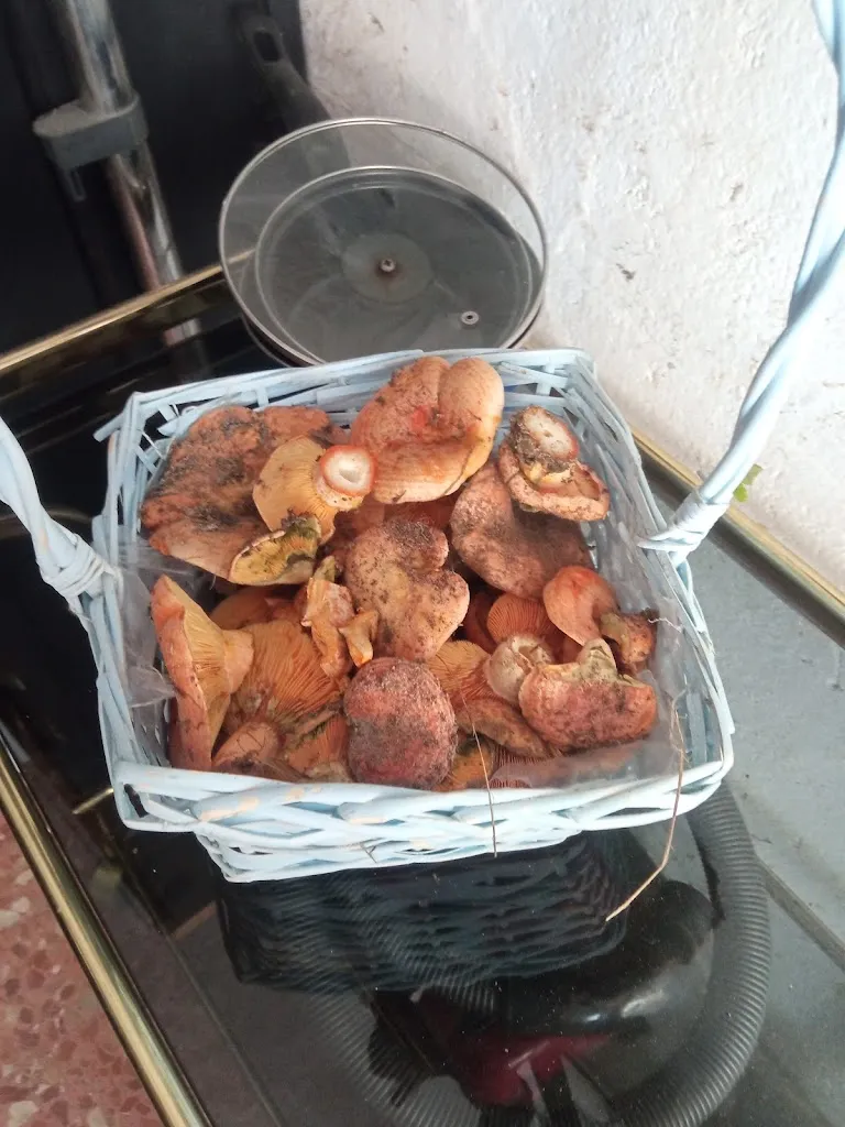 Menu_PASTELERÍA HELADERÍA BAR Molta Vita._Landete_image_8