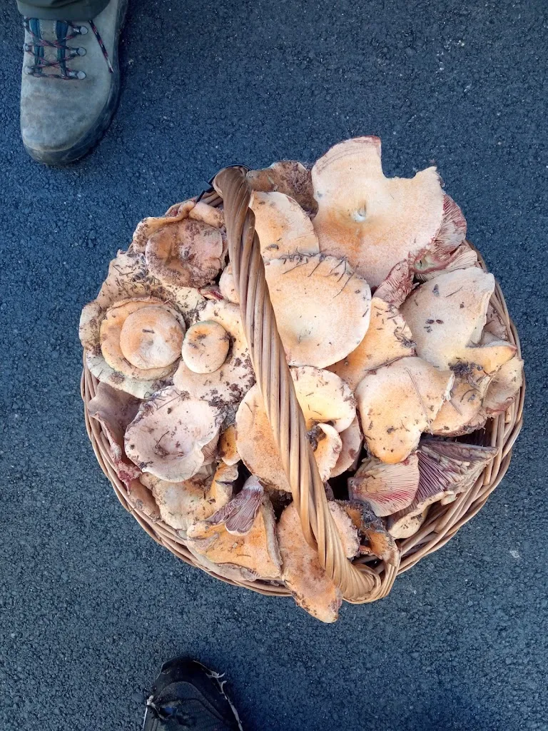 Menu_PASTELERÍA HELADERÍA BAR Molta Vita._Landete_image_9