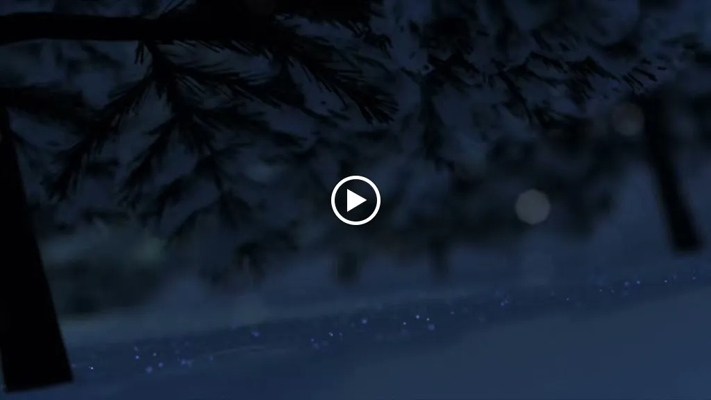 Restaurante Genaro_Narboneta_slider_image_2