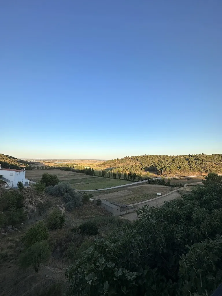 Irene Zueco_La Vega de Olivares_Olivares de Júcar_review