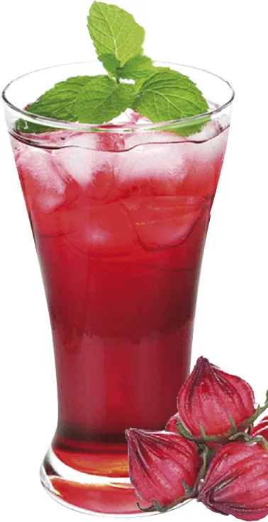 Menu_Bar Colores Comida Senegal_Paredes_image_8