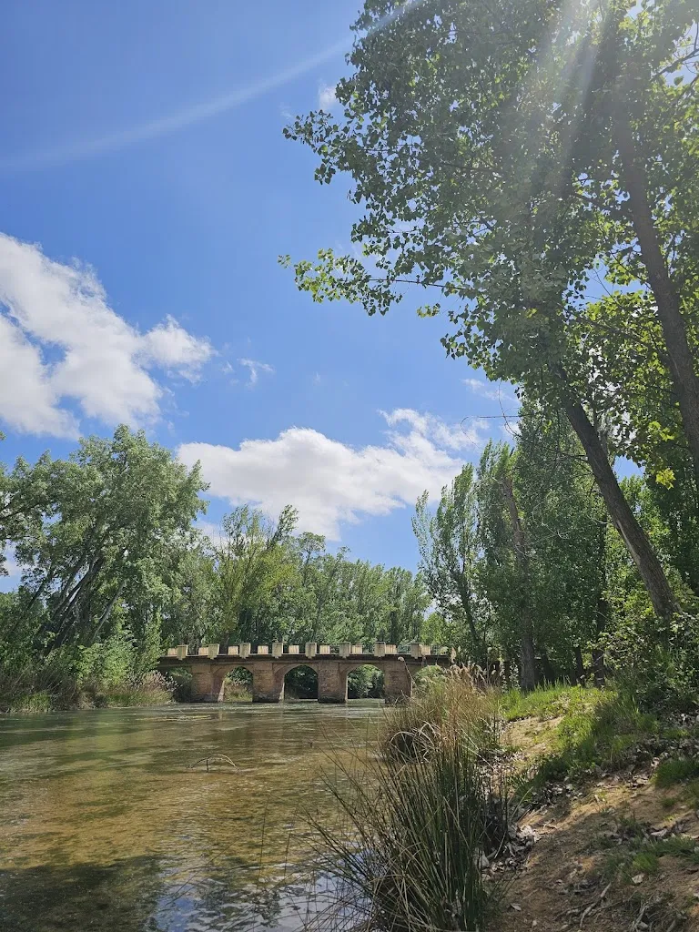 Mingailė Medingytė_RESTAURANTE LA PRADERA._Picazo El_review