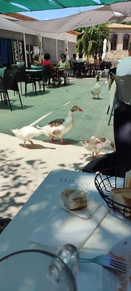 Jose Luis Hernandez Hernandez_RESTAURANTE LA PRADERA._Picazo El_review