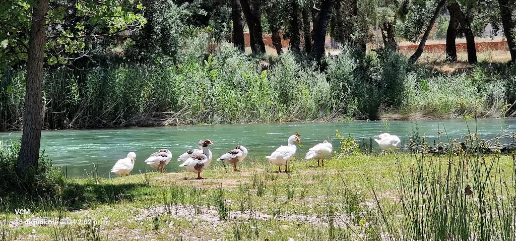 Verónica Carrió Moreno_RESTAURANTE LA PRADERA._Picazo El_review