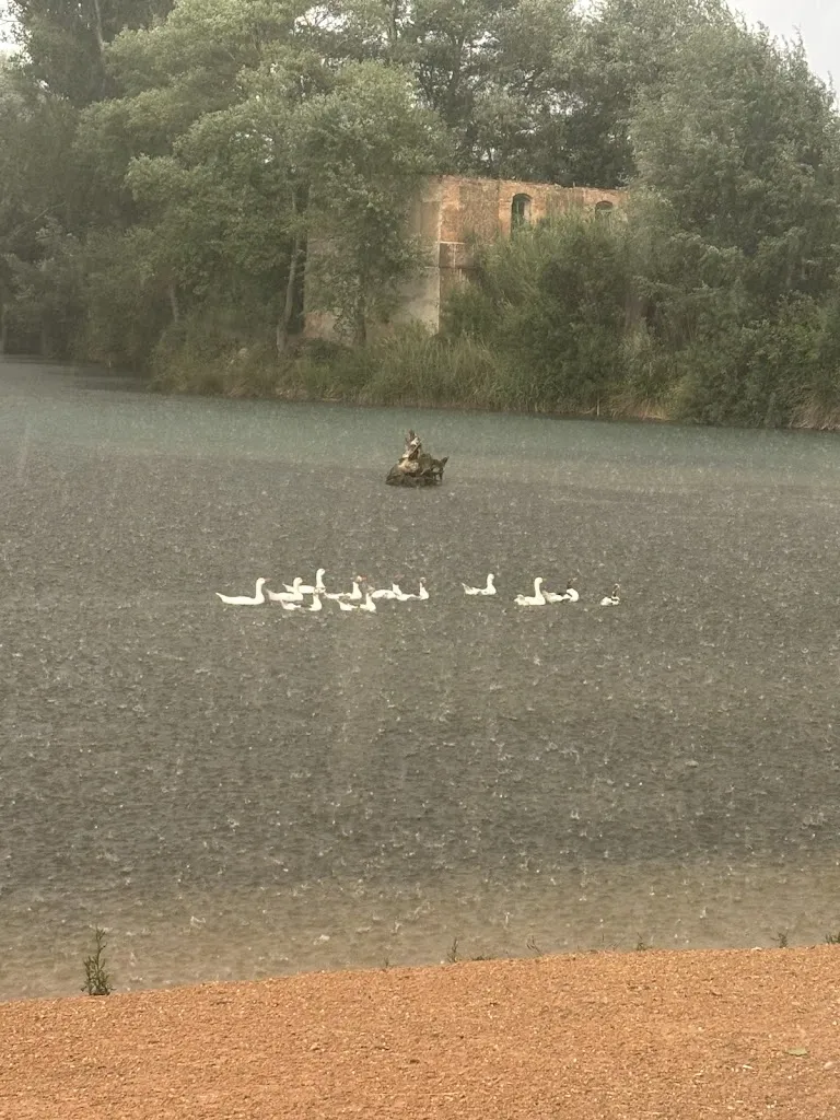 RESTAURANTE LA PRADERA._Picazo El_slider_image_3