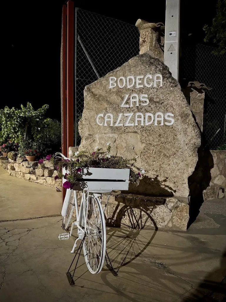 Cris Martin_Bodega Asador Las Calzadas. Enoturismo - Vinos Tinácula_Pozoamargo_review