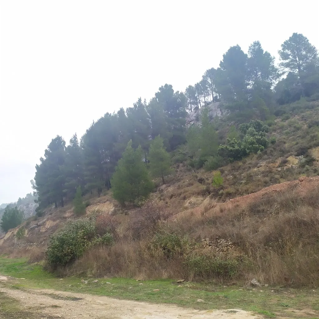 David Pascual_Casas Bajas Alojamiento Rural_Santa Cruz de Moya_review