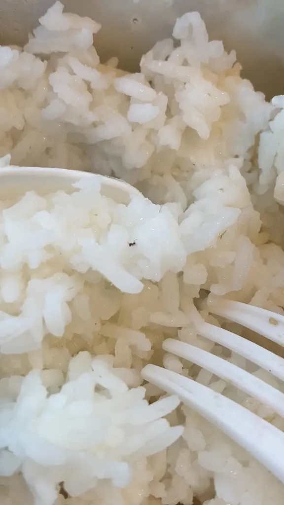 Andy Nile_Chef's Corner Bistro - Gullas Heights_Minglanilla_review