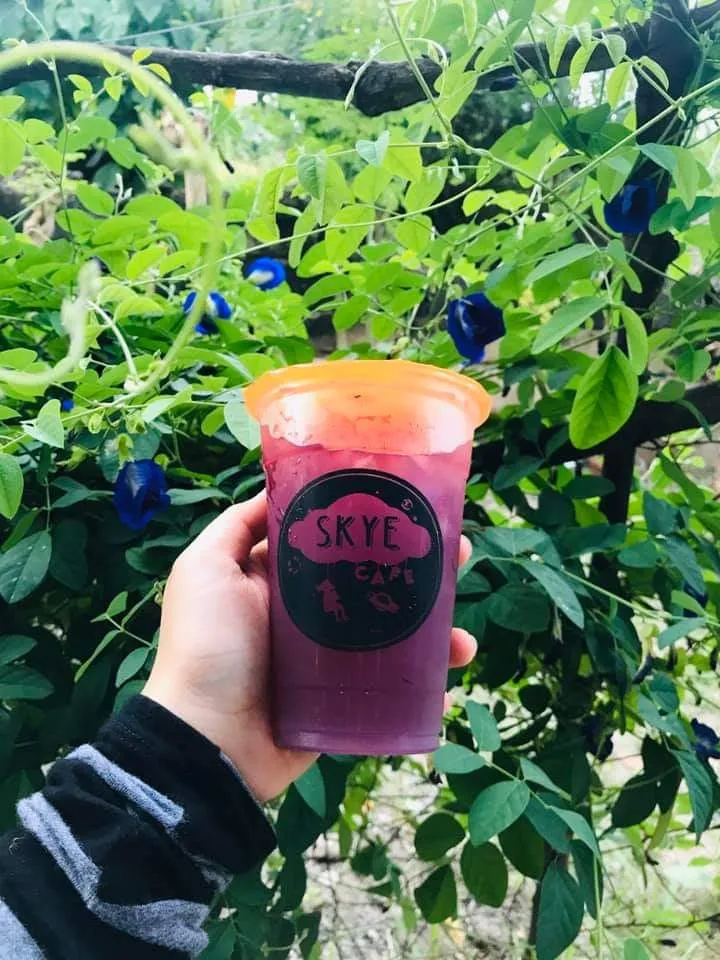 Menu_Skye Garden Cafe_Minglanilla_image_9