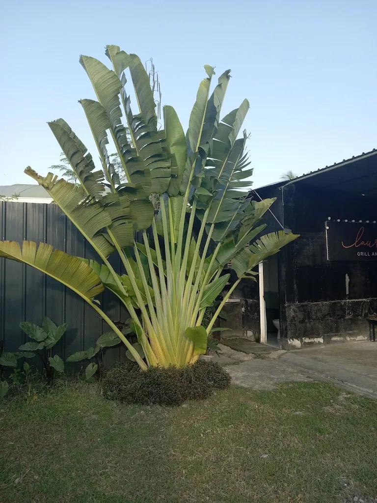 Laurencia's Grill and Restaurant Minglanilla, Cebu_Minglanilla_slider_image_2