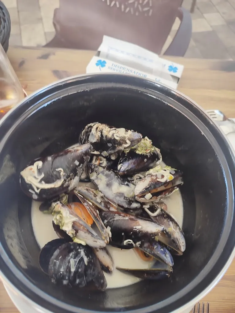 John Connor_Lola & Co._Roda La_review