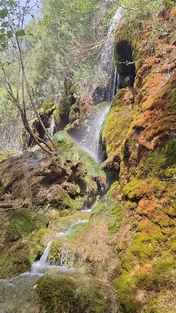 Antonio Rivero Marcotegui_Bar-Restaurante El Coto_Tragacete_review