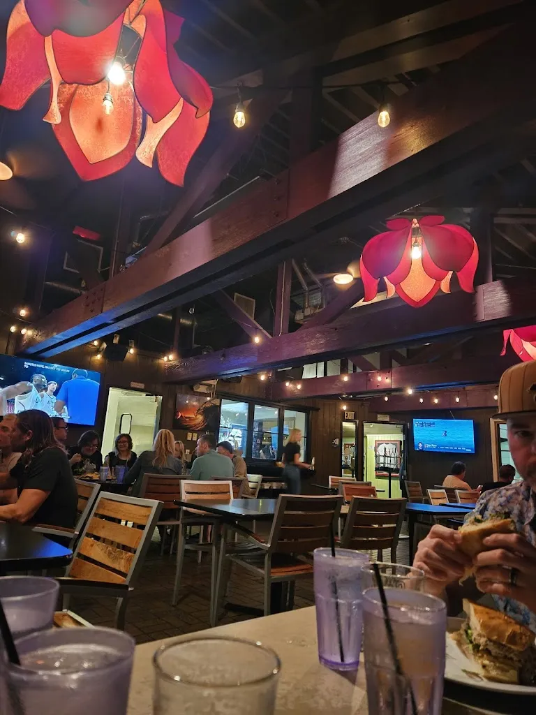 Jillian Davis_Hapa J's_San Clemente_recensione