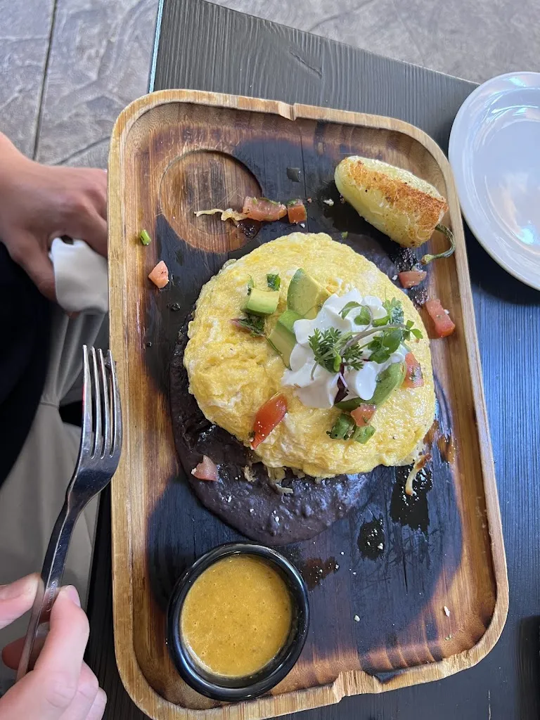 Rocky Rook_Sol Agave_San Clemente_review