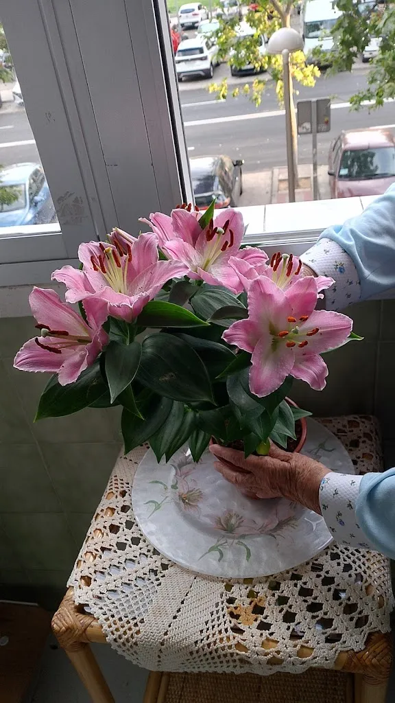 Bar Martín._Valdeolivas_slider_image_3