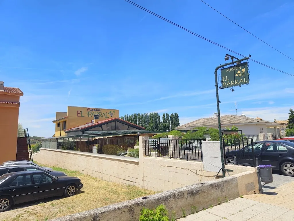 Trachemysta_Mesón El Parral_Valle de Altomira El_review