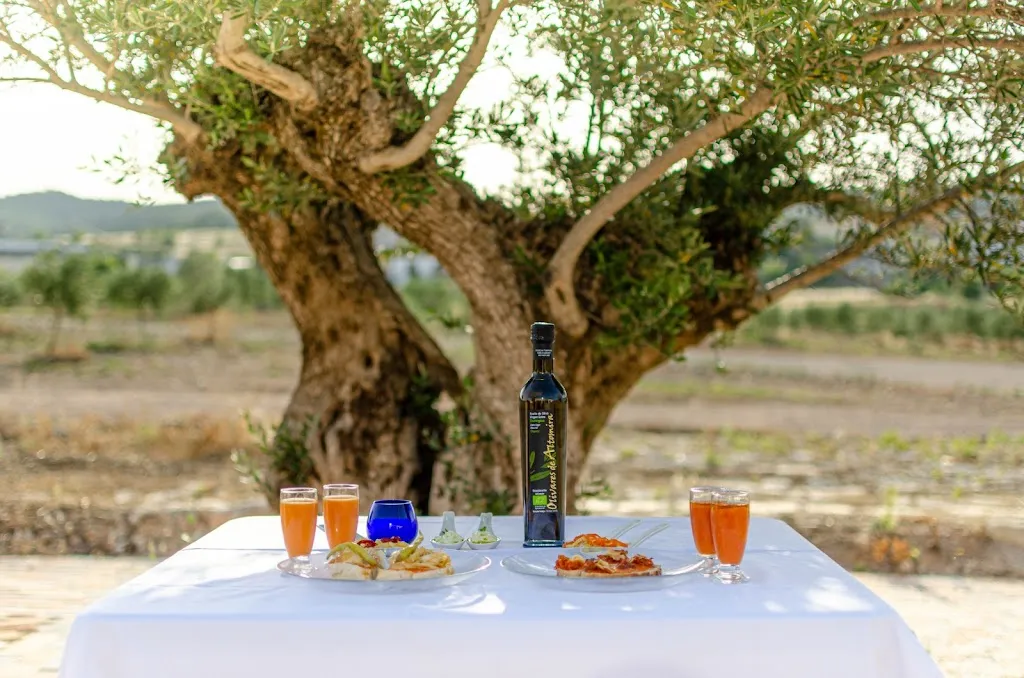 Olivares de Altomira: Oleoturismo. AOVE_Valle de Altomira El_slider_image_3