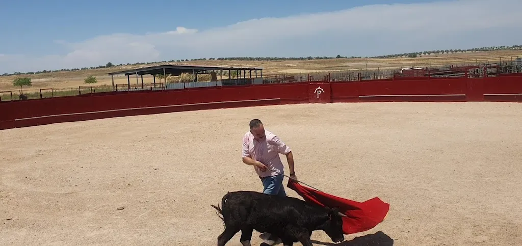 Félix Barahona_Finca El Chaparral, Villaconejos_Villaconejos de Trabaque_review