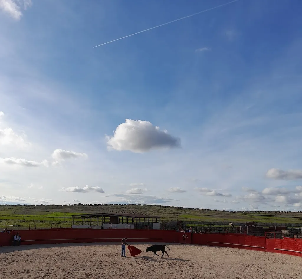 Finca El Chaparral, Villaconejos restaurant in Villaconejos de Trabaque