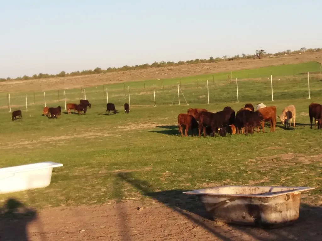 Finca El Chaparral, Villaconejos_Villaconejos de Trabaque_slider_image_2