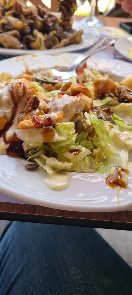 C M B_meson carrion bermejo_Víllora_review