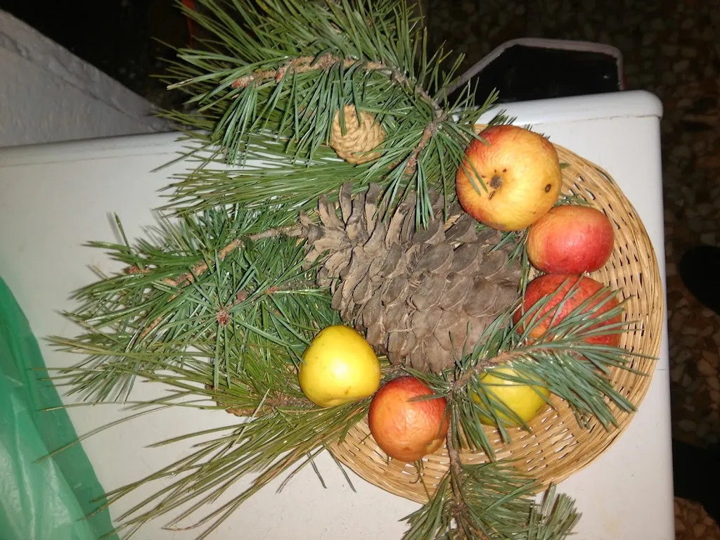 Menu_Enrique Panadés López_Zafrilla_image_8