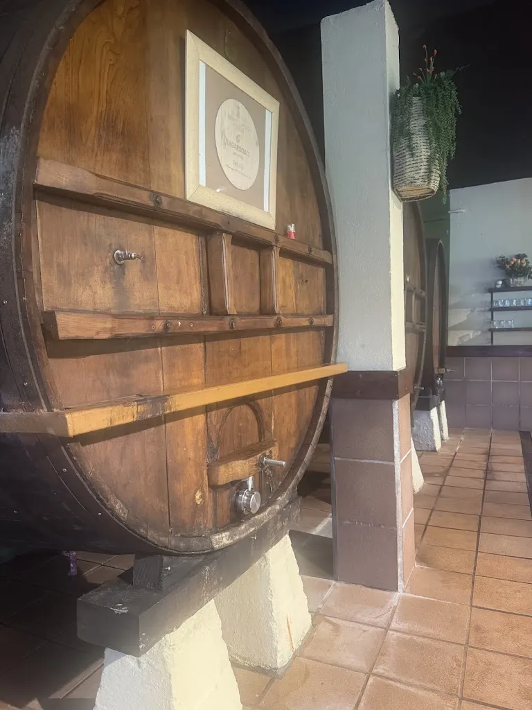 Patricia Peris_Satxota Sagardotegia_Aia_recensione