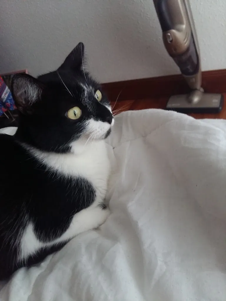 Oihana Gratal_JON ANDER_Anoeta_review