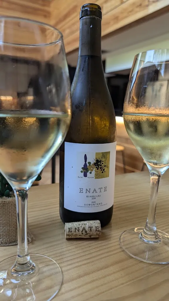 Samyra Mesquita_La Porteña_Anoeta_review