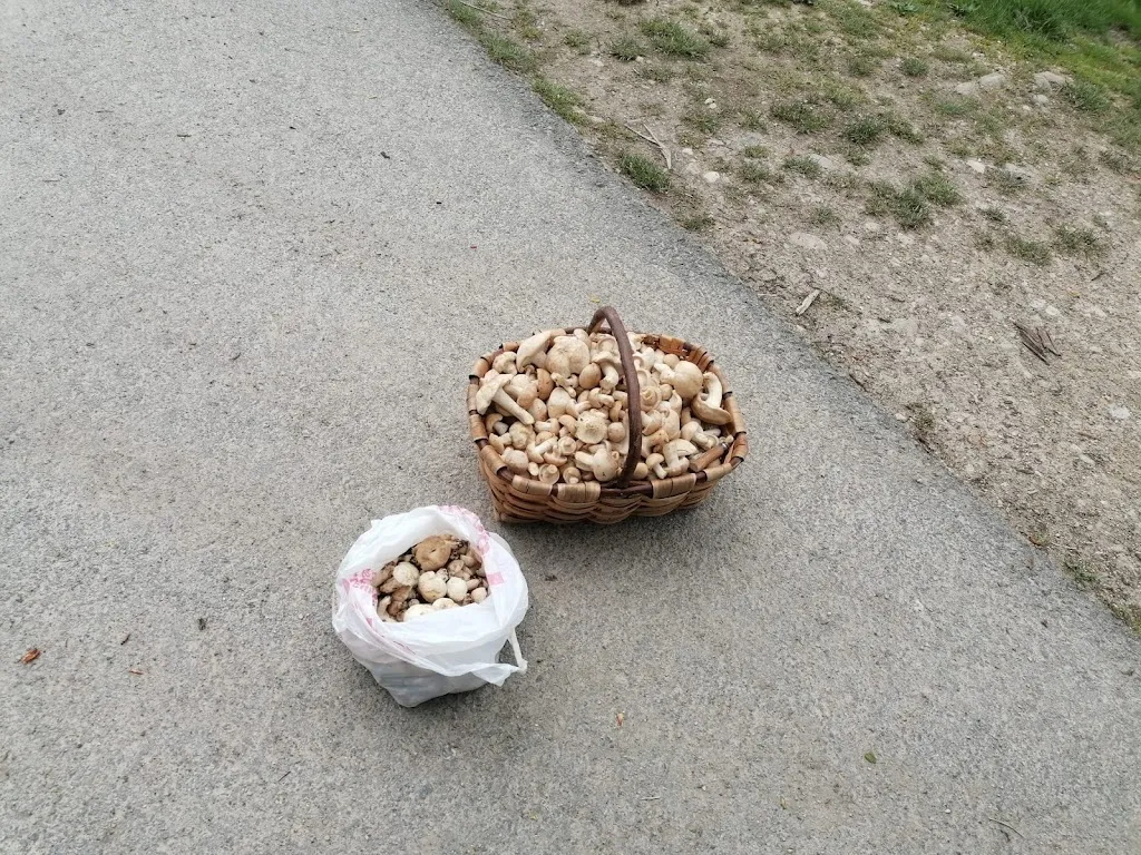 Katategi txiki_Anoeta_slider_image_3