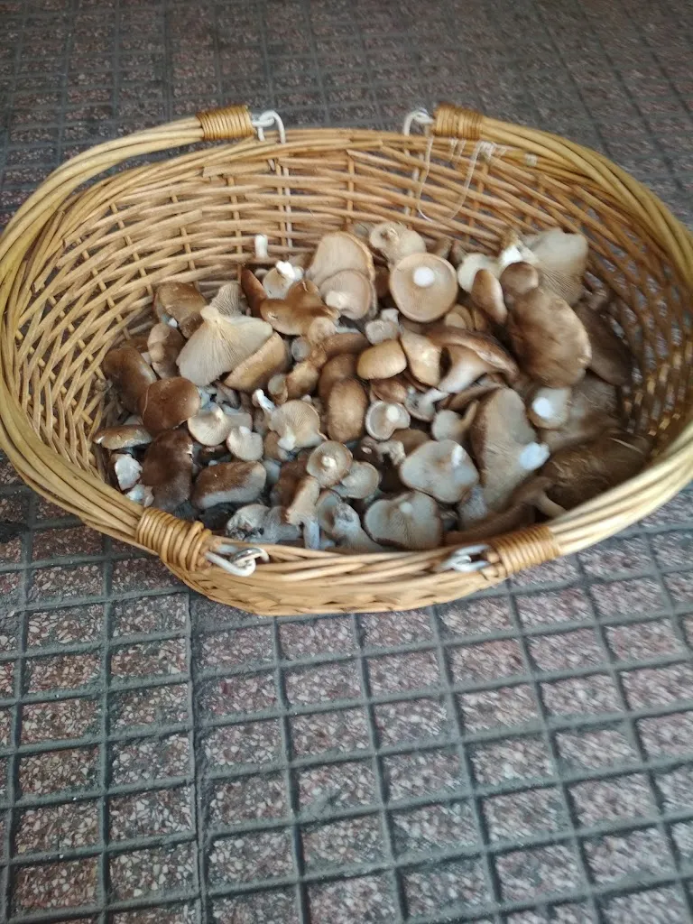 Menu_El Zurdo BAR._Tarazona de la Mancha_image_3