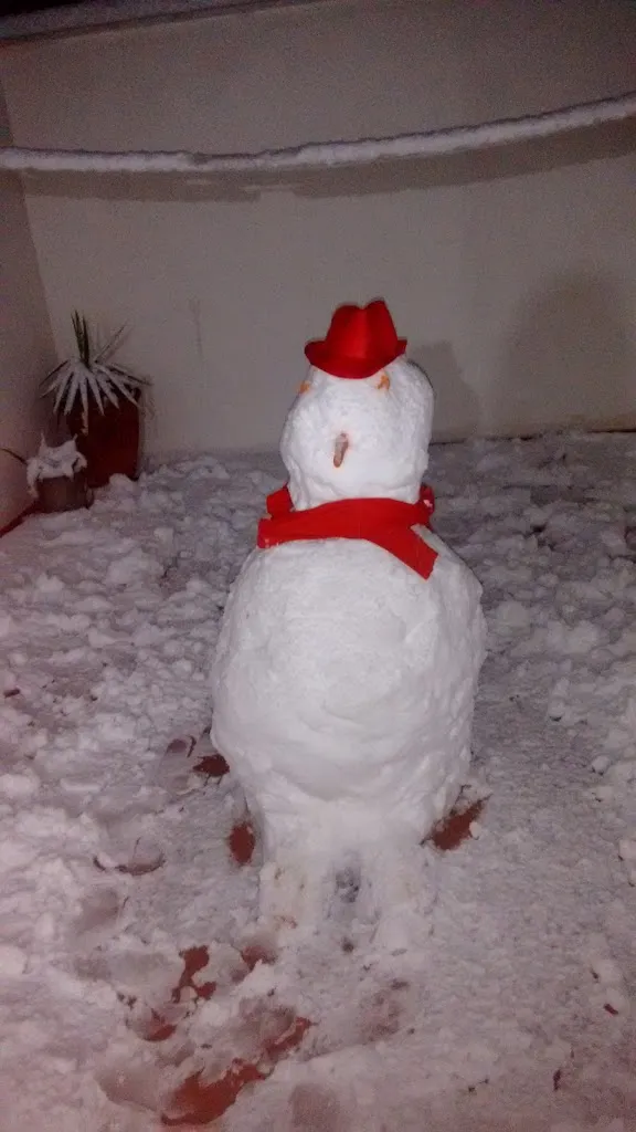 Menu_El Zurdo BAR._Tarazona de la Mancha_image_9